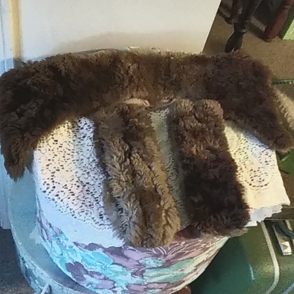 Raccoon Collar & Cuffs - Picture 1 of 2